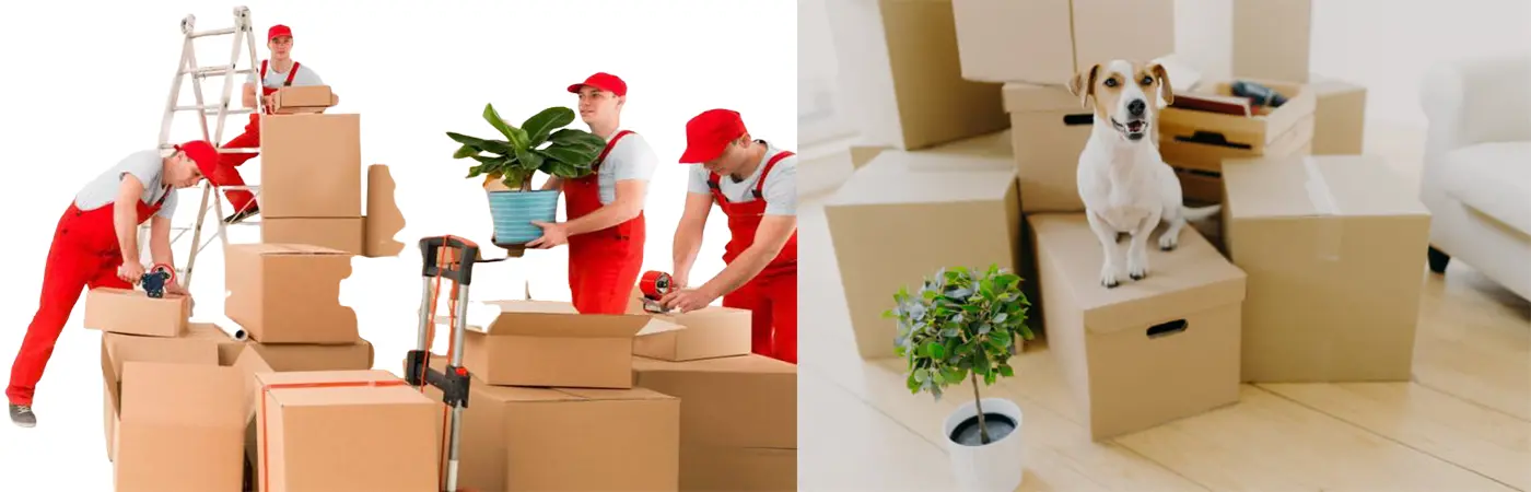 Banashankari Packers and Movers Bellary